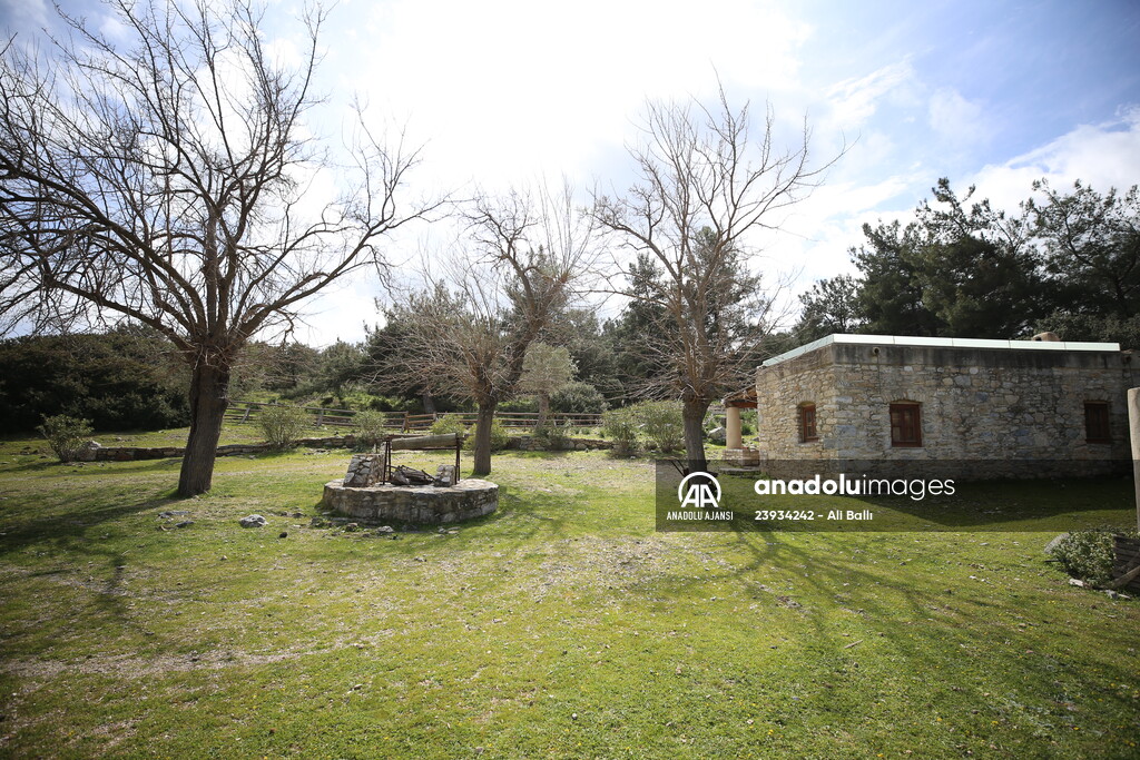 Bodrum'da Pedasa Antik Kenti'ndeki 170 dönümlük tarla satışa çıkarıldı