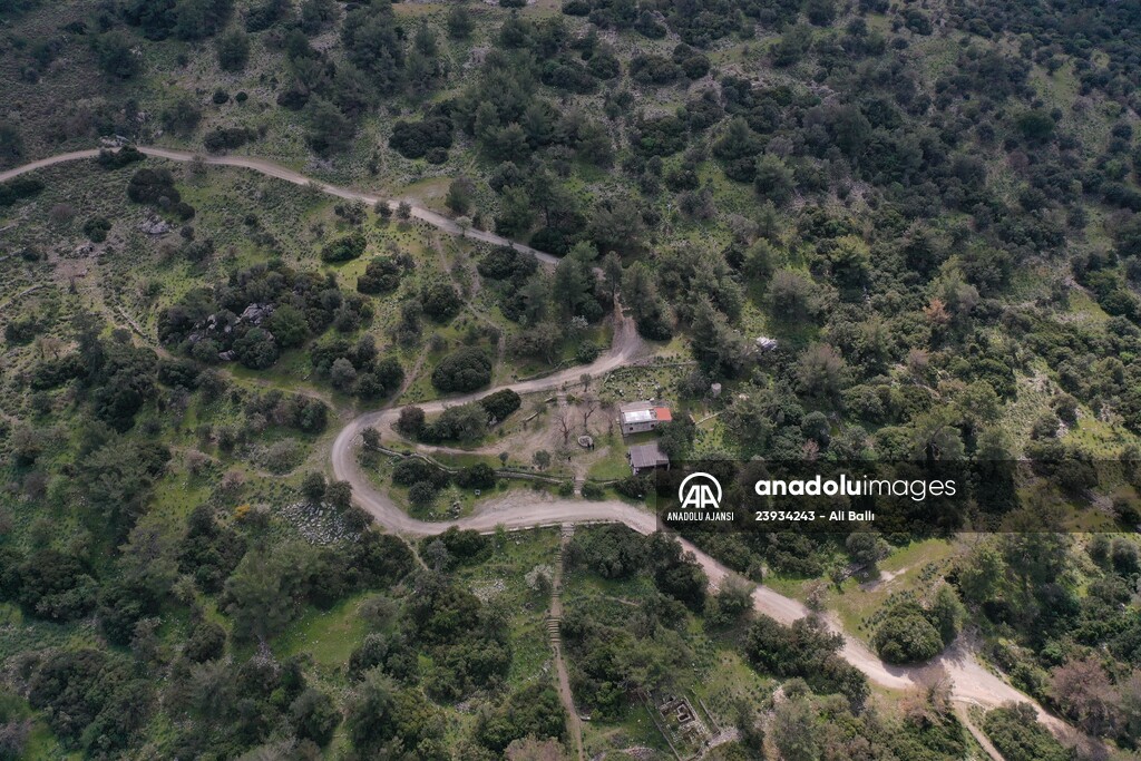 Bodrum'da Pedasa Antik Kenti'ndeki 170 dönümlük tarla satışa çıkarıldı