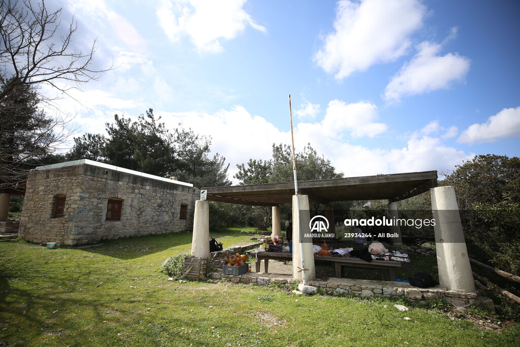 Bodrum'da Pedasa Antik Kenti'ndeki 170 dönümlük tarla satışa çıkarıldı