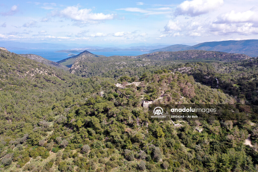 Bodrum'da Pedasa Antik Kenti'ndeki 170 dönümlük tarla satışa çıkarıldı