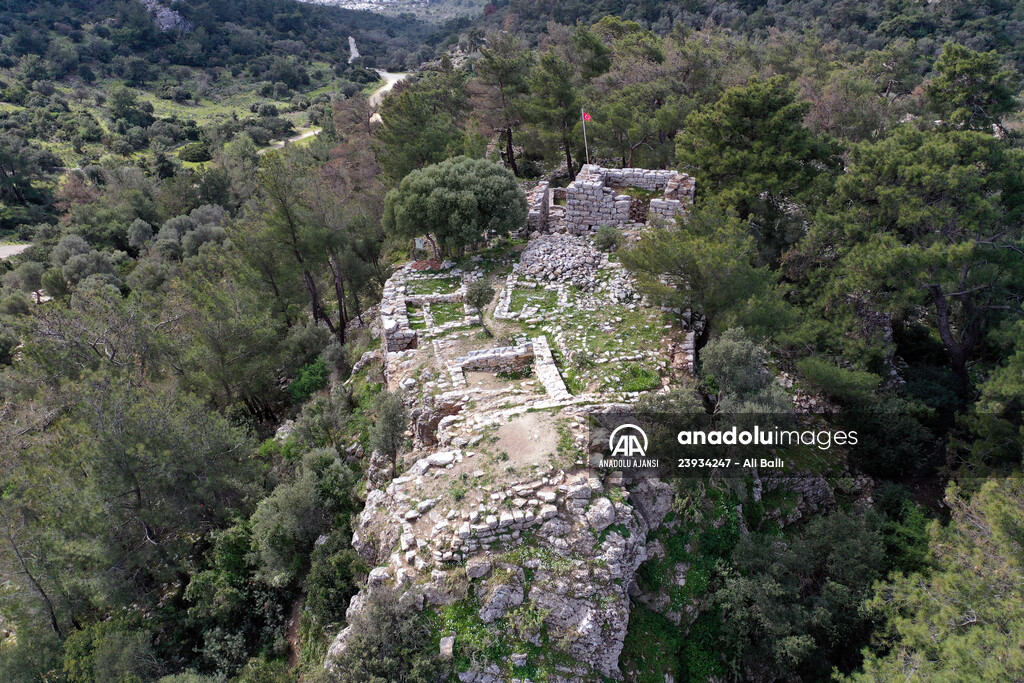 Bodrum'da Pedasa Antik Kenti'ndeki 170 dönümlük tarla satışa çıkarıldı