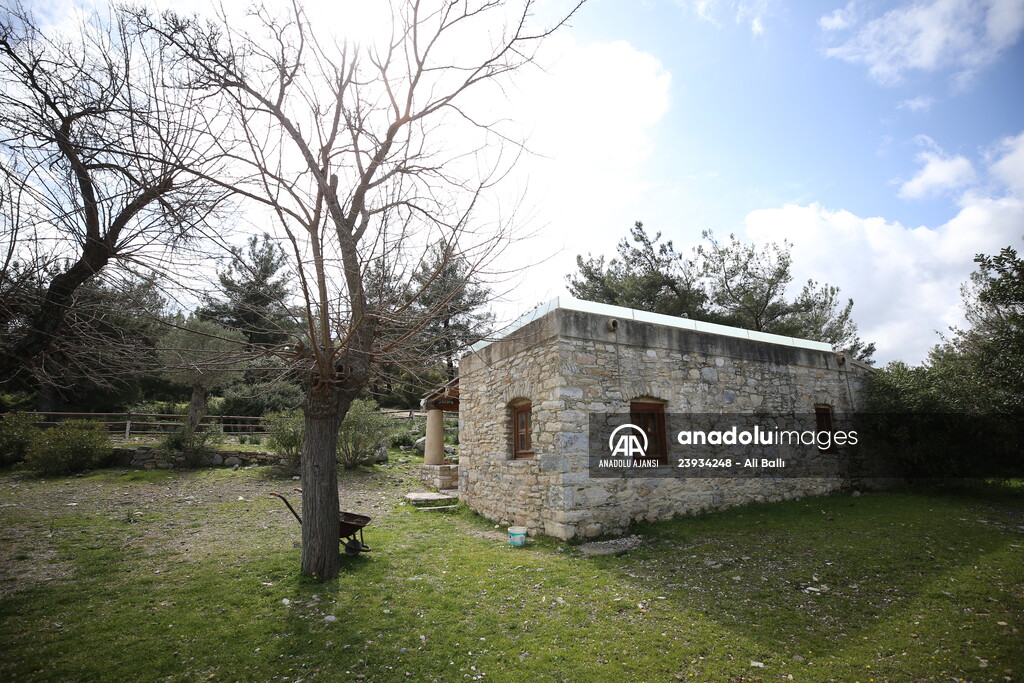 Bodrum'da Pedasa Antik Kenti'ndeki 170 dönümlük tarla satışa çıkarıldı