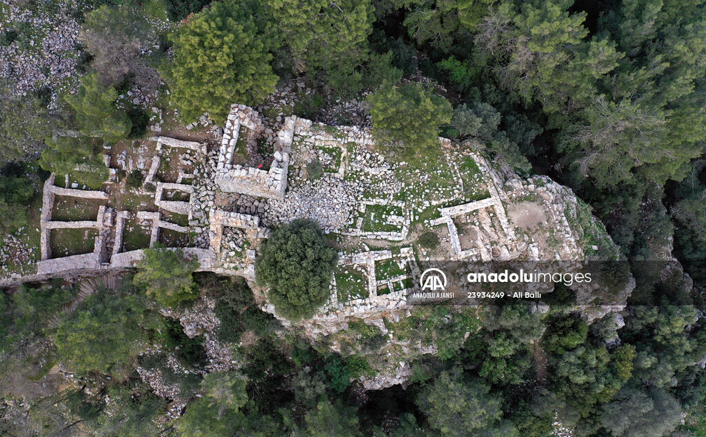 Bodrum'da Pedasa Antik Kenti'ndeki 170 dönümlük tarla satışa çıkarıldı