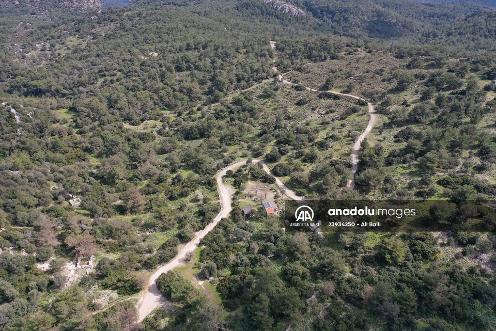 Bodrum'da Pedasa Antik Kenti'ndeki 170 dönümlük tarla satışa çıkarıldı