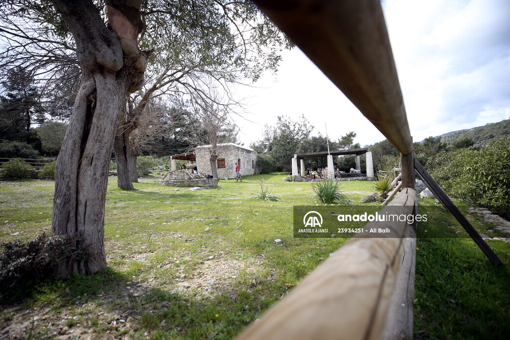 Bodrum'da Pedasa Antik Kenti'ndeki 170 dönümlük tarla satışa çıkarıldı
