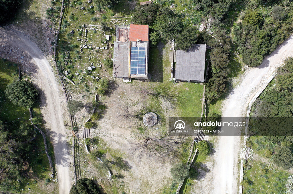 Bodrum'da Pedasa Antik Kenti'ndeki 170 dönümlük tarla satışa çıkarıldı