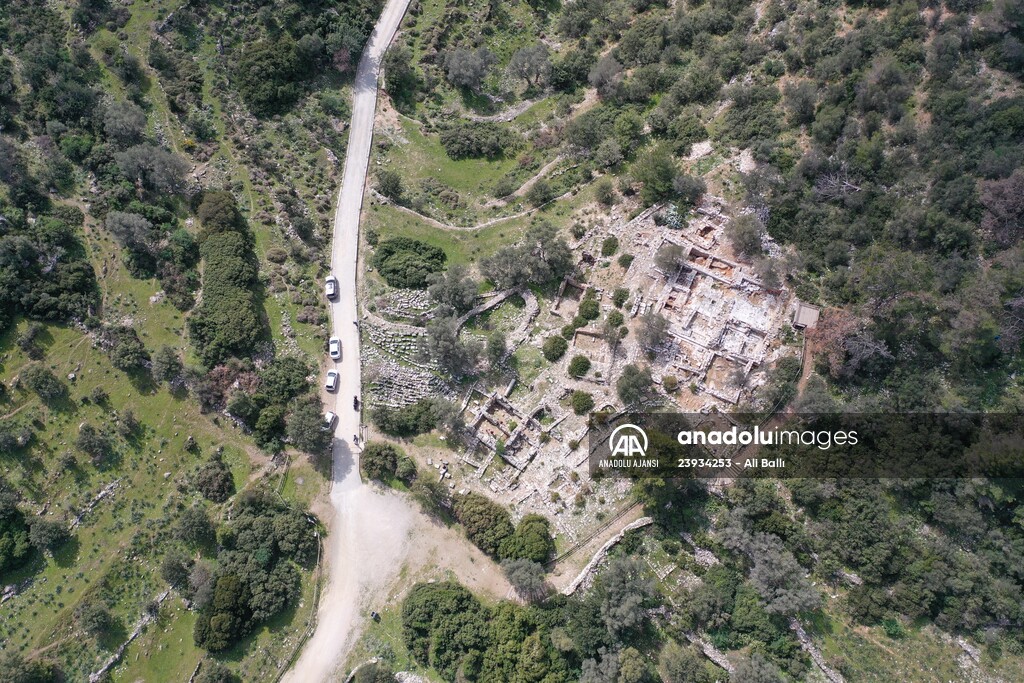 Bodrum'da Pedasa Antik Kenti'ndeki 170 dönümlük tarla satışa çıkarıldı