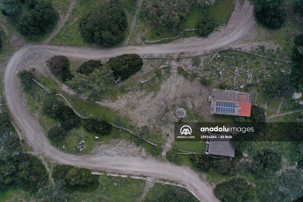 Bodrum'da Pedasa Antik Kenti'ndeki 170 dönümlük tarla satışa çıkarıldı