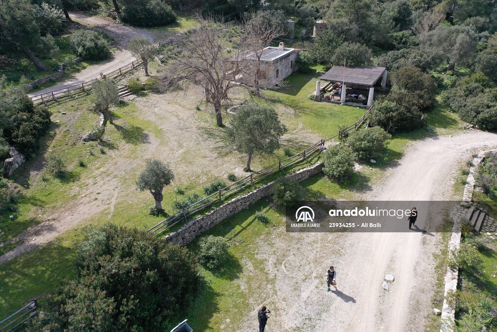 Bodrum'da Pedasa Antik Kenti'ndeki 170 dönümlük tarla satışa çıkarıldı