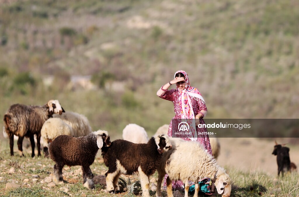 Traditional clothes of Qashqai women