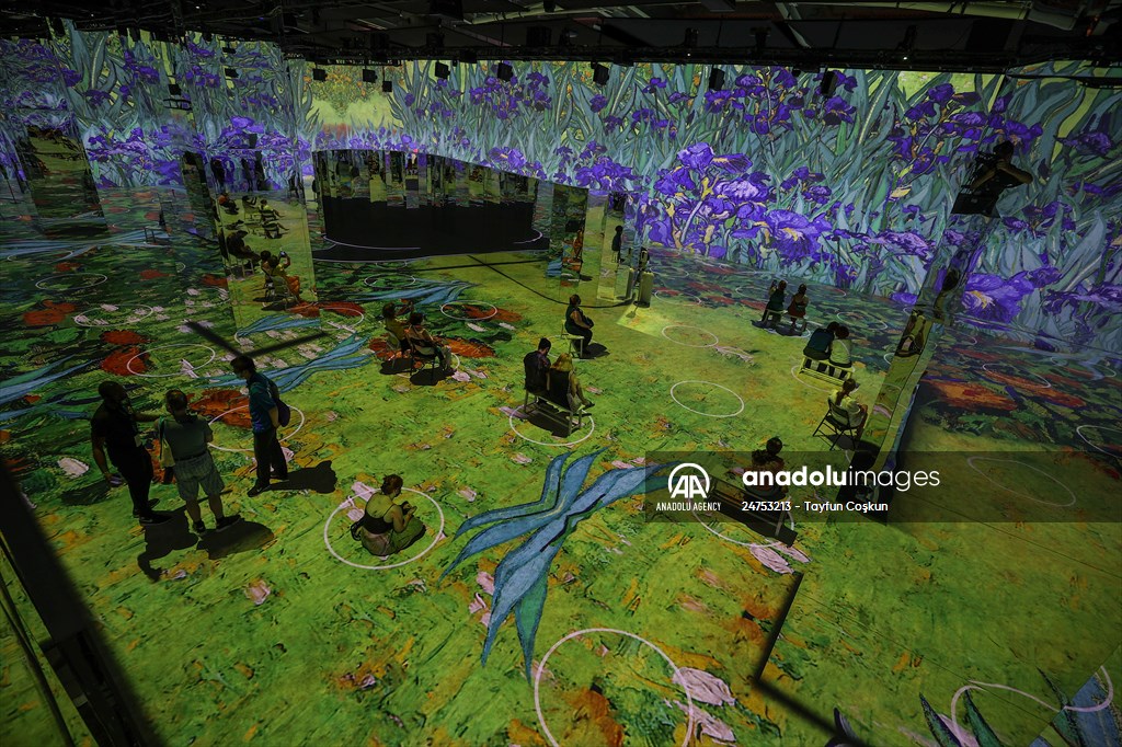 Immersive Van Gogh Exhibit opens in NYC