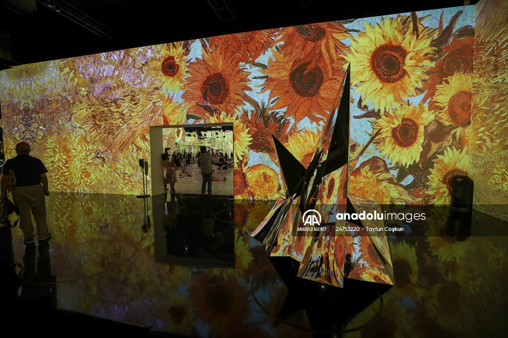 Immersive Van Gogh Exhibit opens in NYC