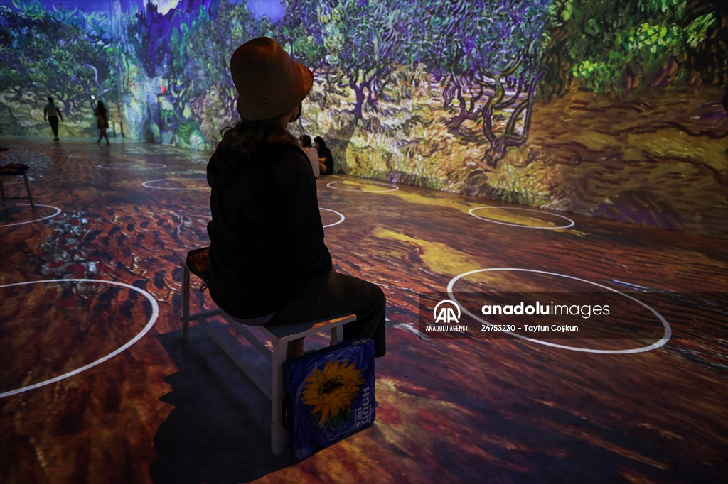 Immersive Van Gogh Exhibit opens in NYC