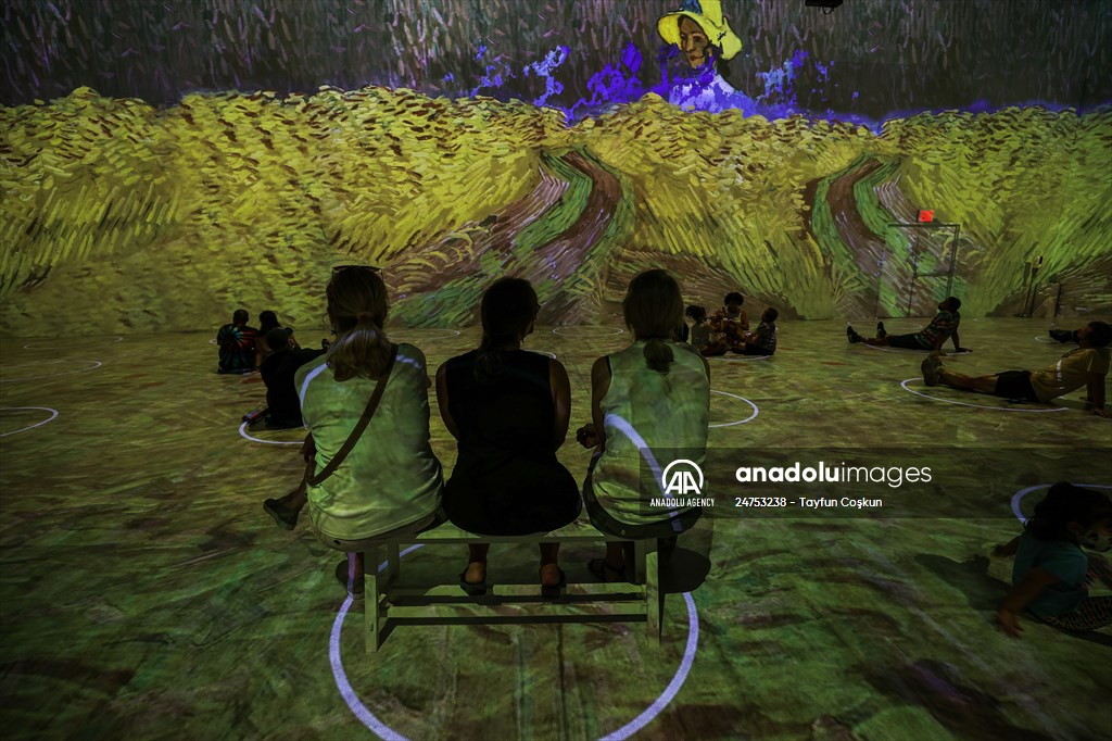 Immersive Van Gogh Exhibit opens in NYC