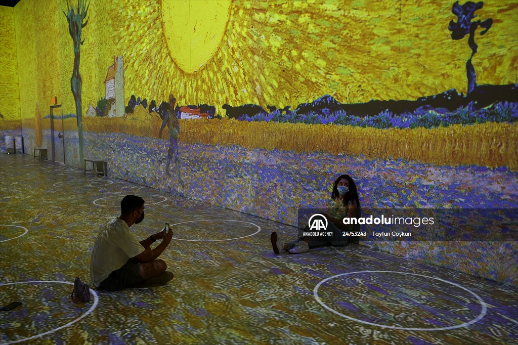 Immersive Van Gogh Exhibit opens in NYC