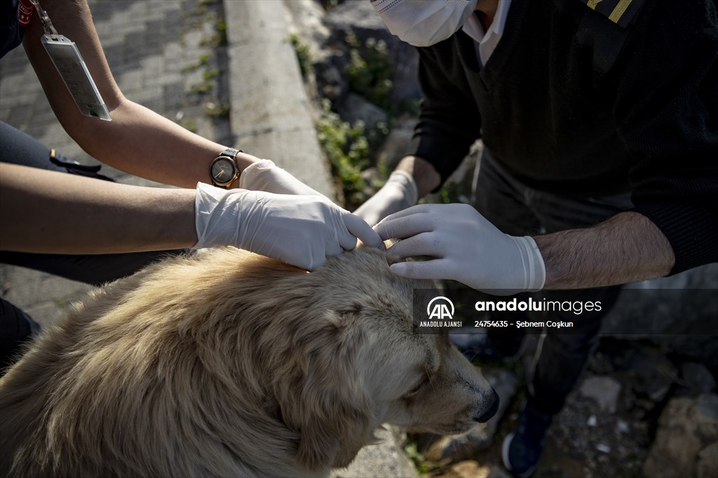 Adalardan ana karaya yaşam köprüsü: 112 deniz ambulansları