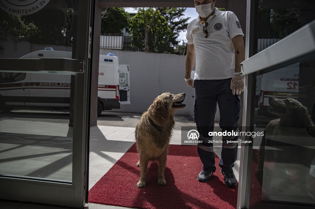 Adalardan ana karaya yaşam köprüsü: 112 deniz ambulansları
