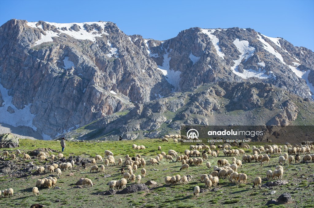 Tunceli'deki 3 bin 500 rakımlı "Elmalı Yaylası" doğal güzellikleriyle göz kamaştırıyor