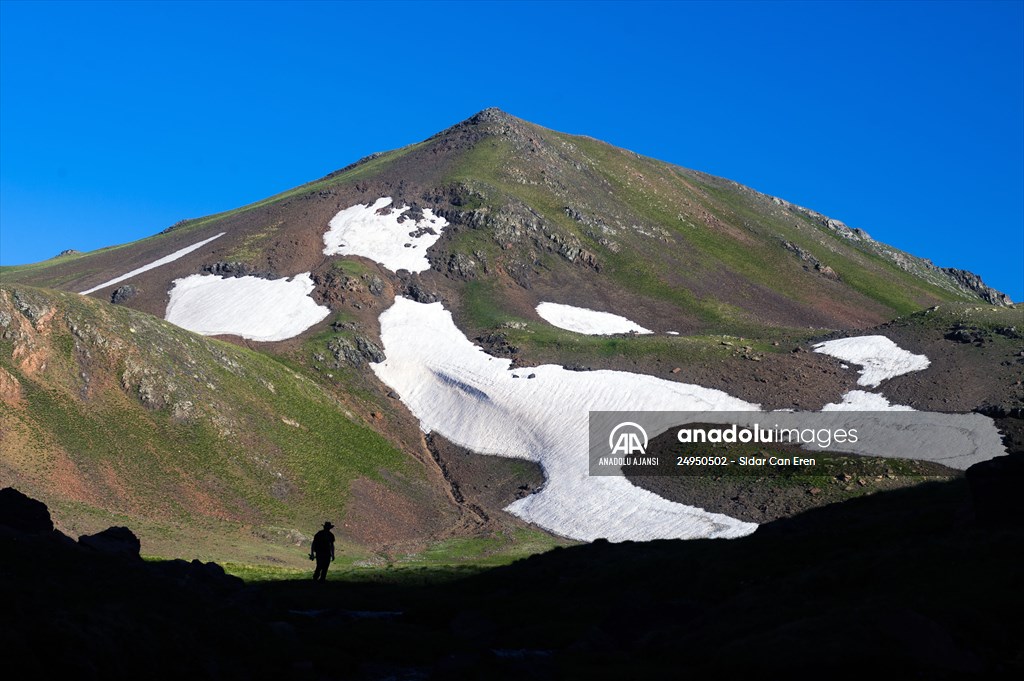 Tunceli'deki 3 bin 500 rakımlı "Elmalı Yaylası" doğal güzellikleriyle göz kamaştırıyor