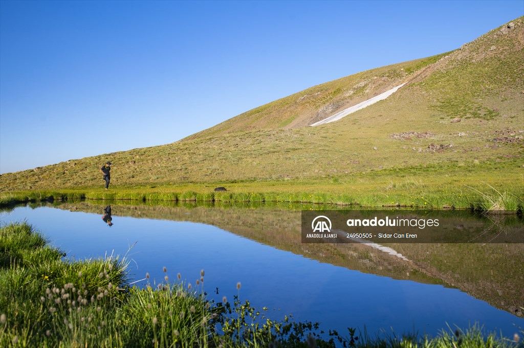 Tunceli'deki 3 bin 500 rakımlı "Elmalı Yaylası" doğal güzellikleriyle göz kamaştırıyor