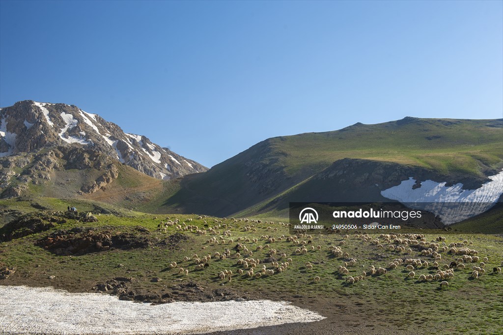 Tunceli'deki 3 bin 500 rakımlı "Elmalı Yaylası" doğal güzellikleriyle göz kamaştırıyor