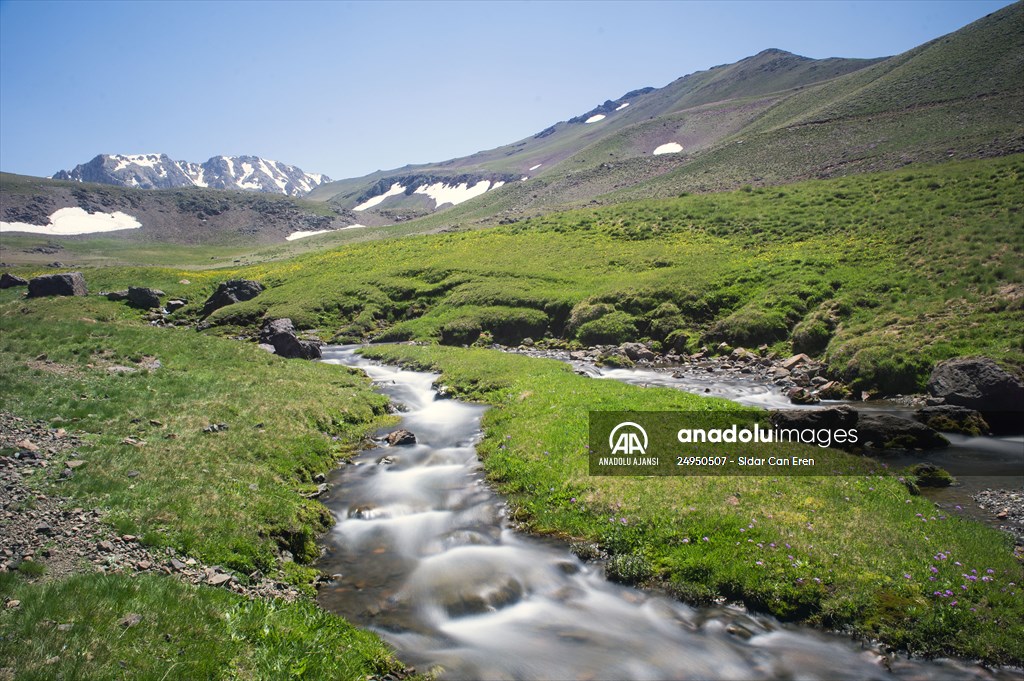 Tunceli'deki 3 bin 500 rakımlı "Elmalı Yaylası" doğal güzellikleriyle göz kamaştırıyor