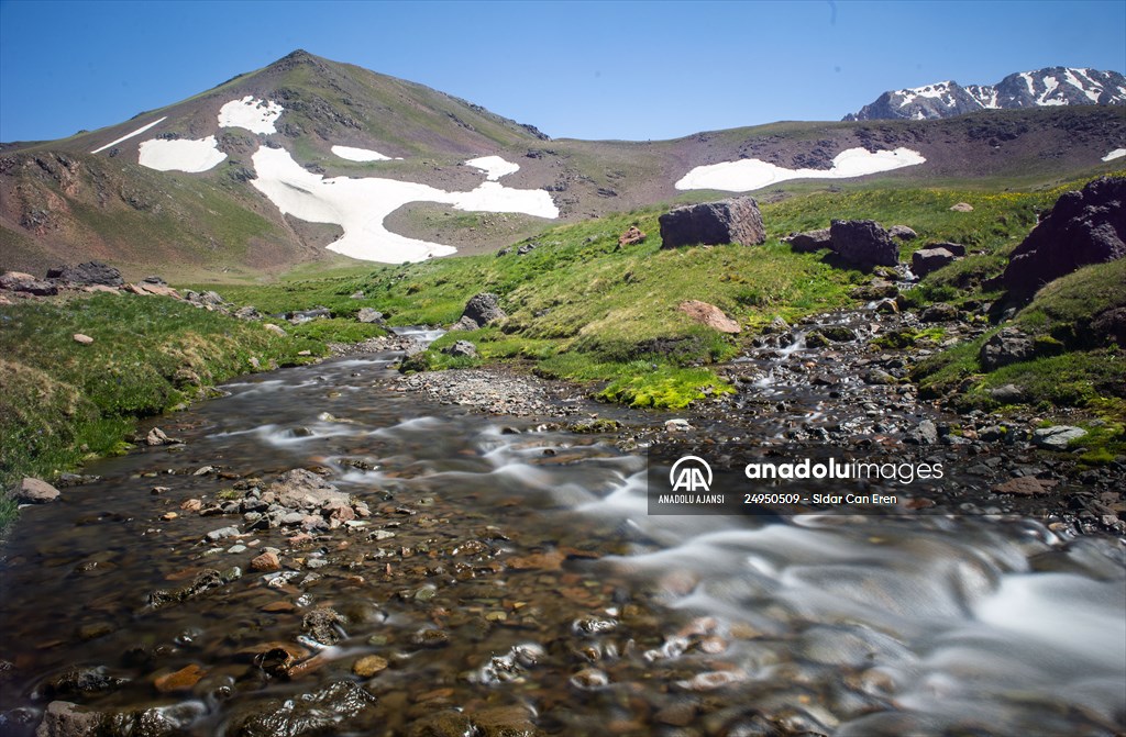Tunceli'deki 3 bin 500 rakımlı "Elmalı Yaylası" doğal güzellikleriyle göz kamaştırıyor