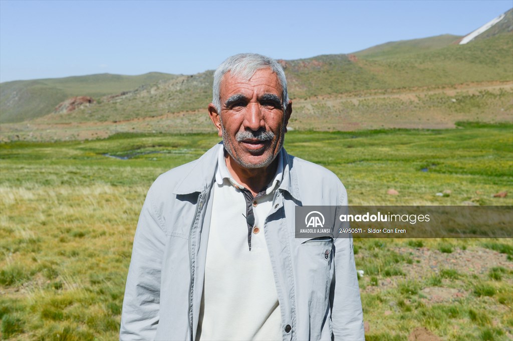 Tunceli'deki 3 bin 500 rakımlı "Elmalı Yaylası" doğal güzellikleriyle göz kamaştırıyor