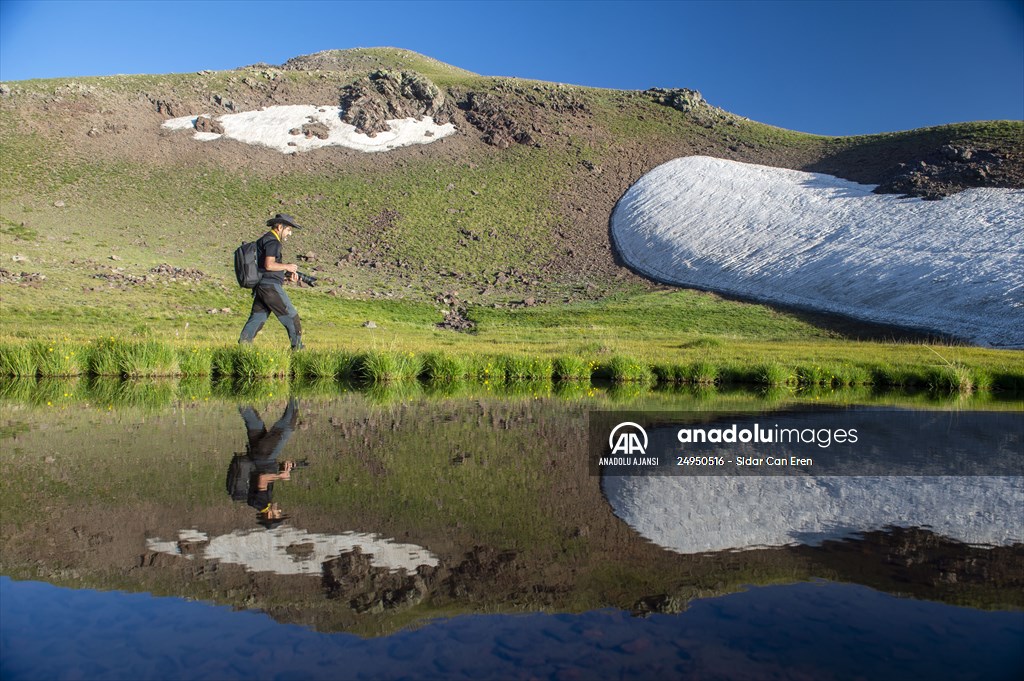 Tunceli'deki 3 bin 500 rakımlı "Elmalı Yaylası" doğal güzellikleriyle göz kamaştırıyor