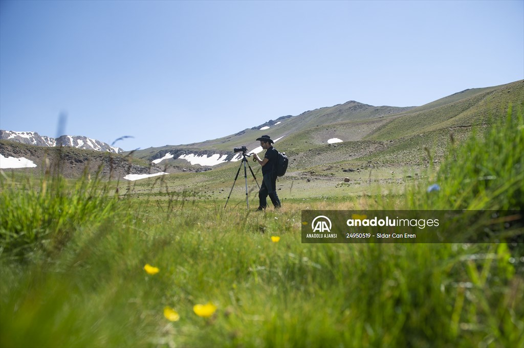 Tunceli'deki 3 bin 500 rakımlı "Elmalı Yaylası" doğal güzellikleriyle göz kamaştırıyor