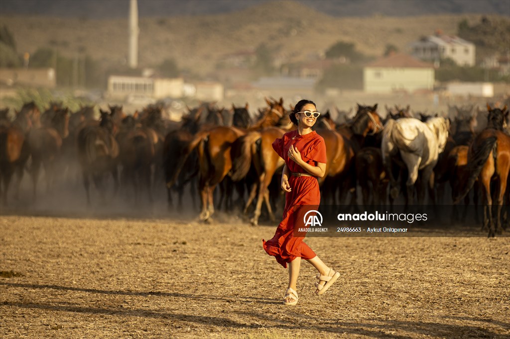 Wild horses in the foothills of Mount Erciyes​​​​​​​