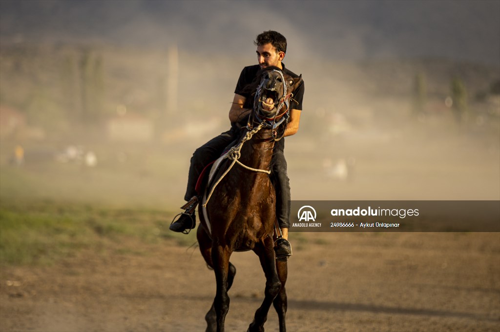 Wild horses in the foothills of Mount Erciyes​​​​​​​