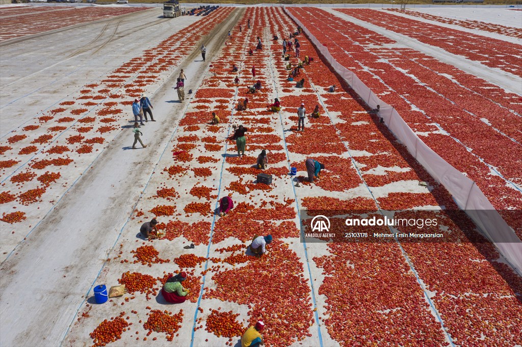 Sun-dried tomatoes in Turkey's Izmir