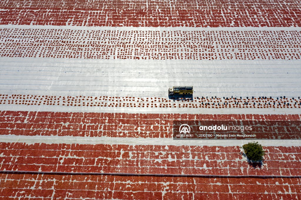 Sun-dried tomatoes in Turkey's Izmir