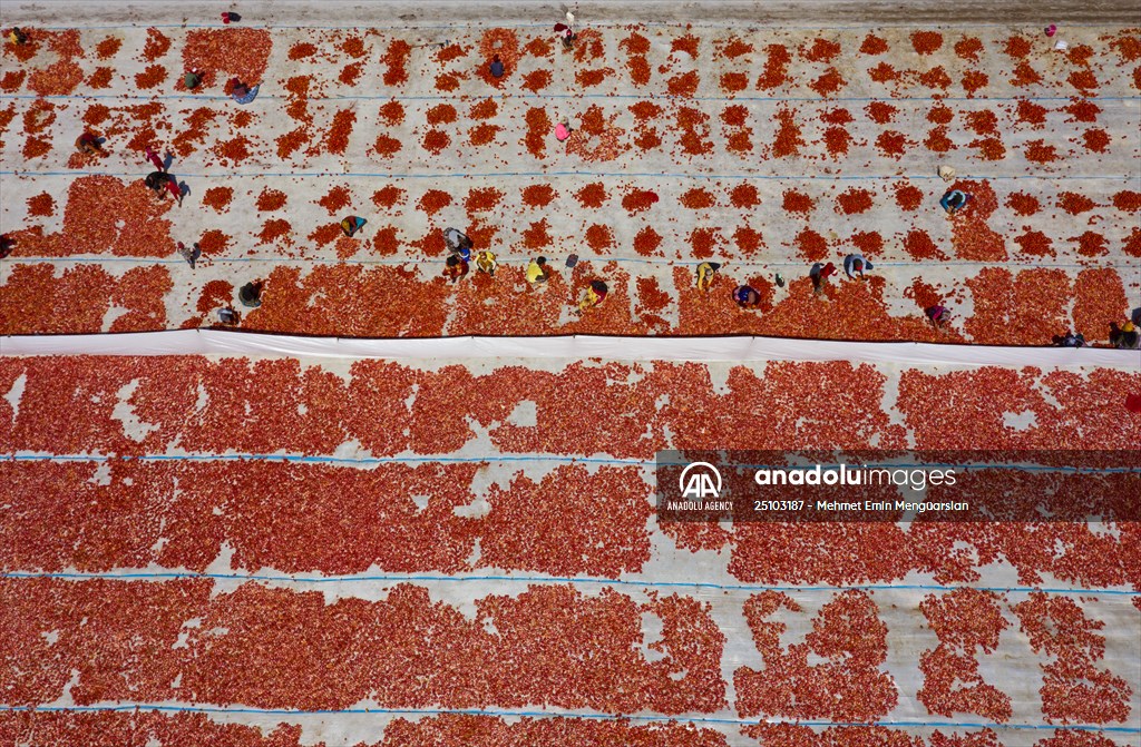 Sun-dried tomatoes in Turkey's Izmir