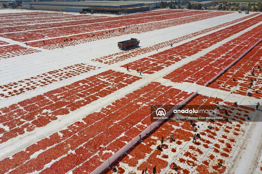 Sun-dried tomatoes in Turkey's Izmir