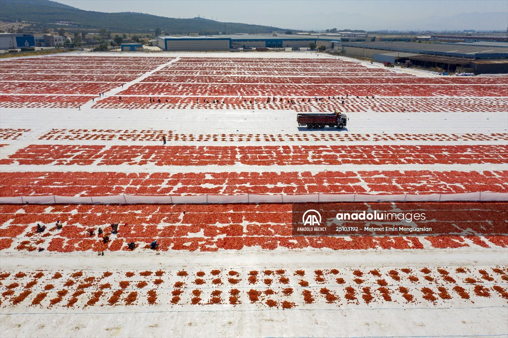 Sun-dried tomatoes in Turkey's Izmir