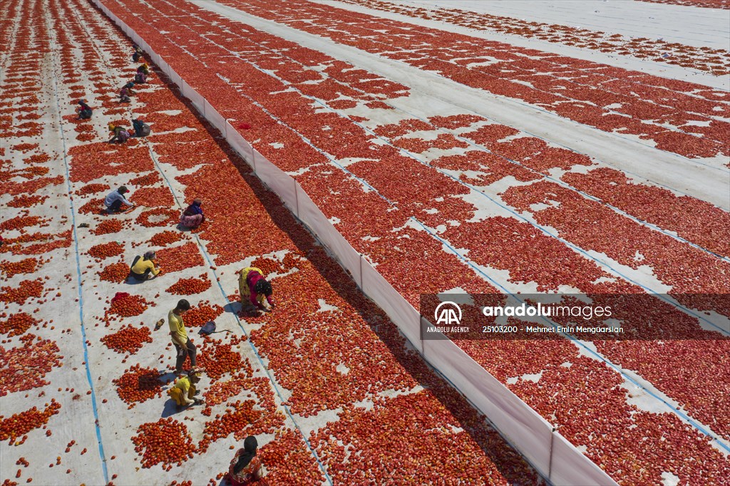 Sun-dried tomatoes in Turkey's Izmir