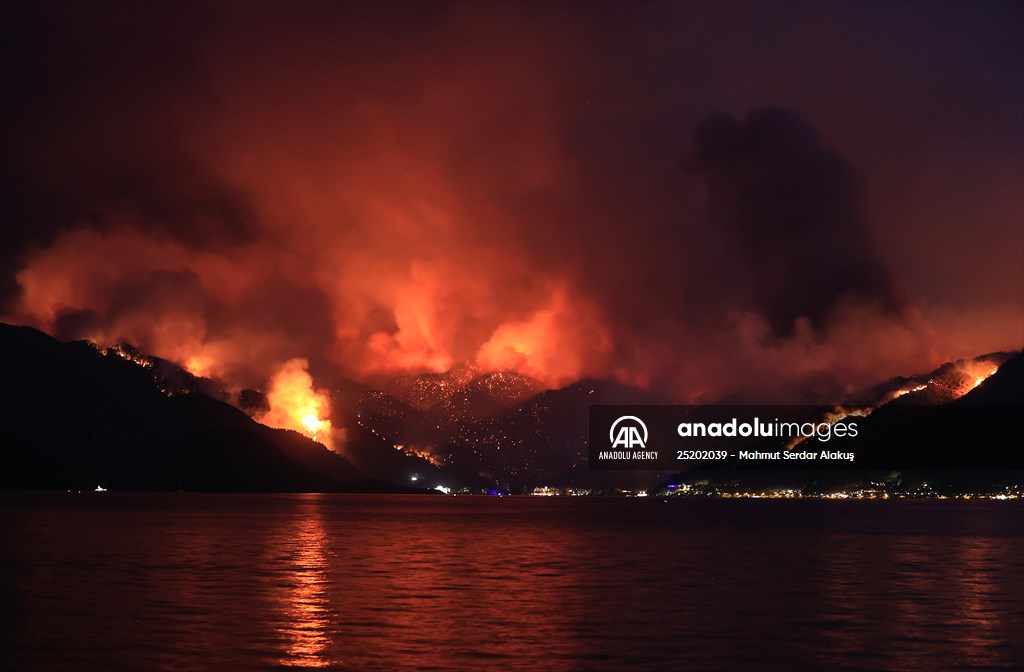 Forest fire in Turkey's Mugla