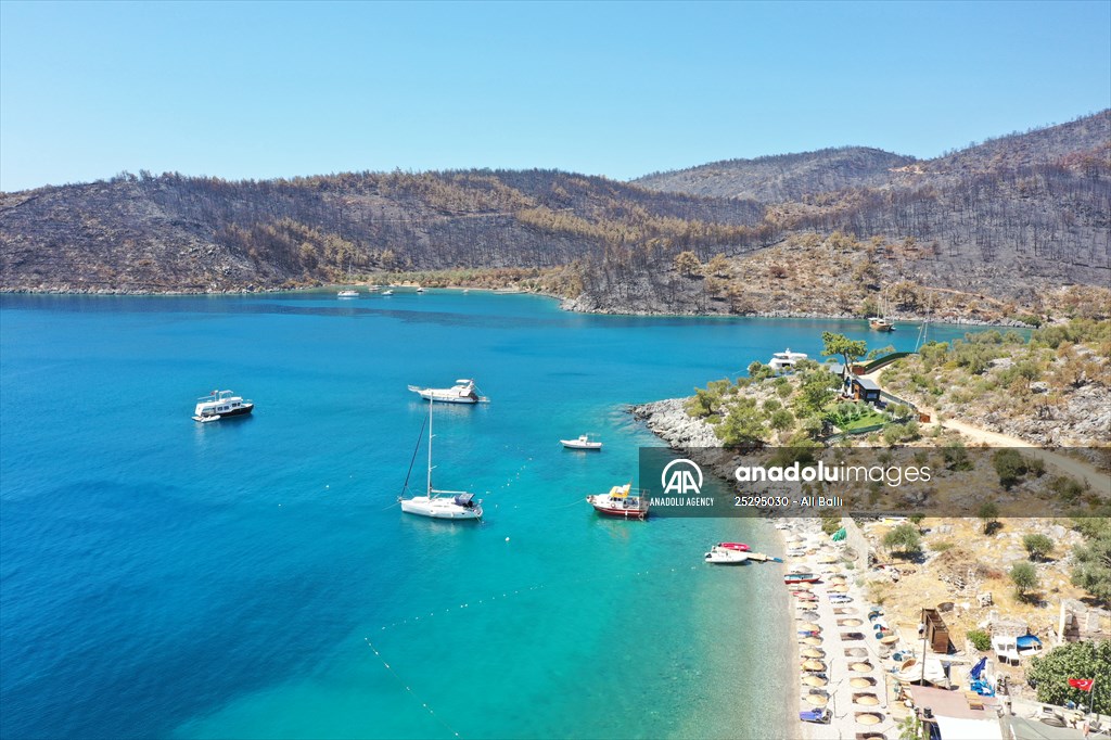 Aftermath of forest fires in Turkey's Mugla