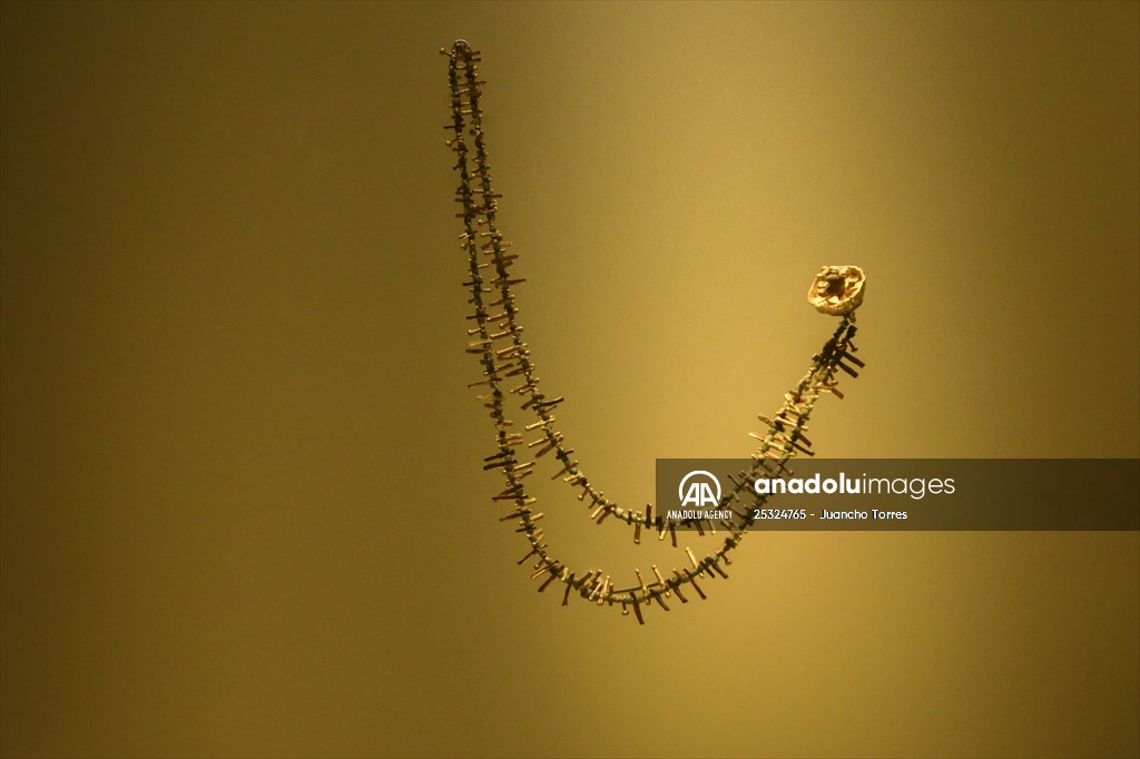 The Pre-Colombian Gold Museum