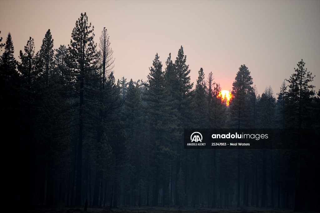 Dixie Fire in California