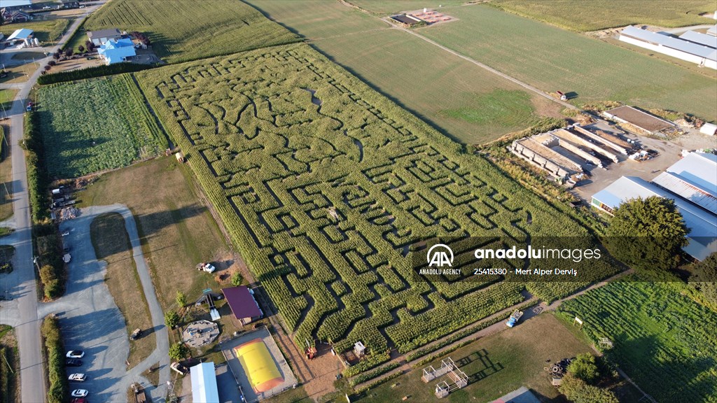 Chilliwack Corn Maze Anadolu Images