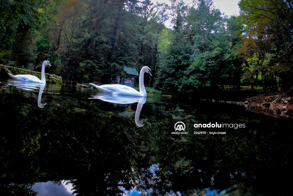 Vrelo Bosne National Park in Sarajevo