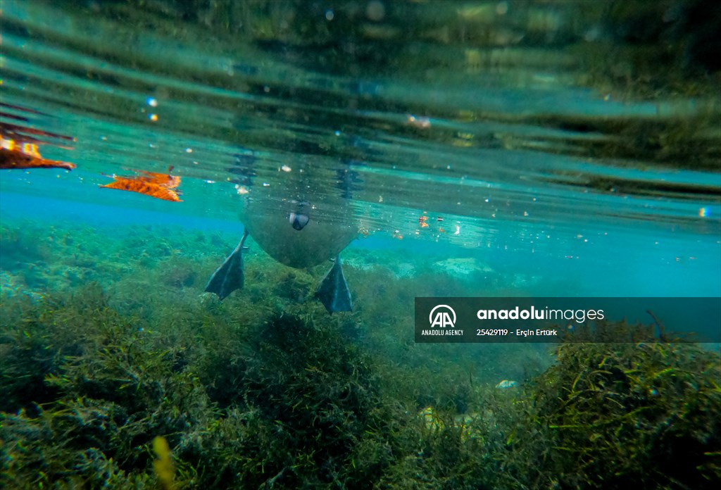 Vrelo Bosne National Park in Sarajevo