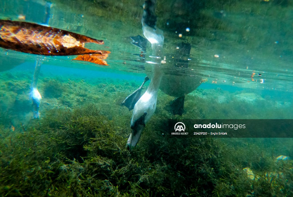 Vrelo Bosne National Park in Sarajevo