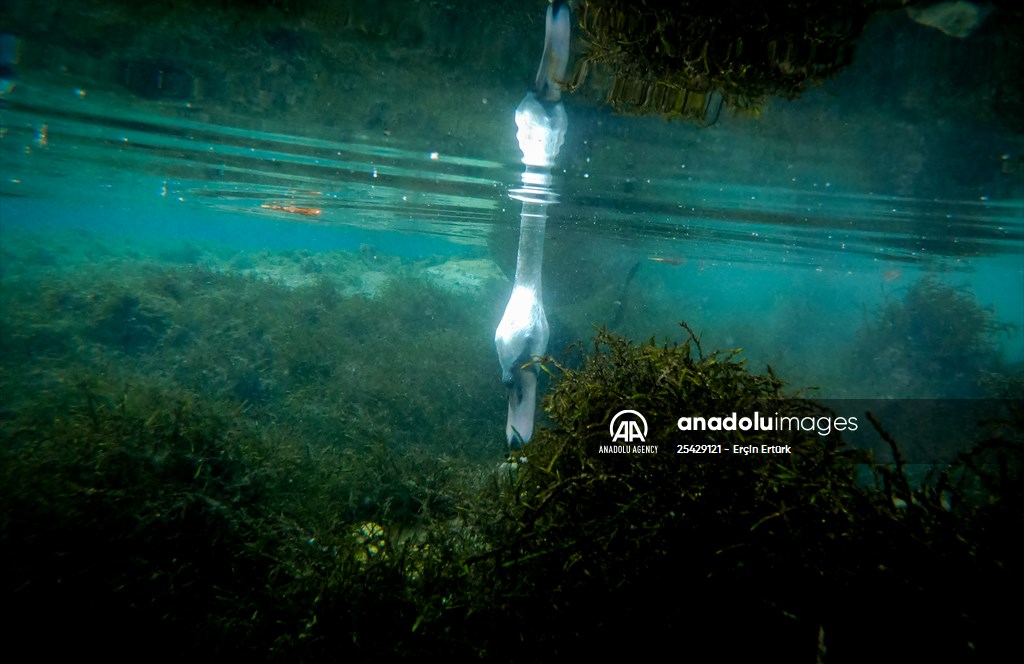Vrelo Bosne National Park in Sarajevo
