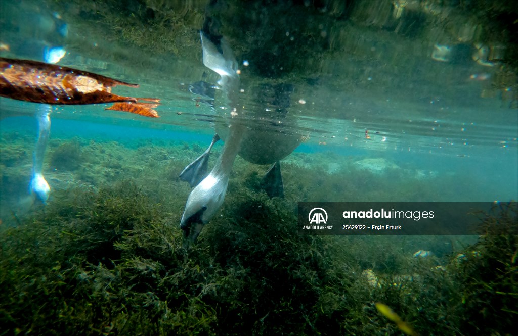 Vrelo Bosne National Park in Sarajevo