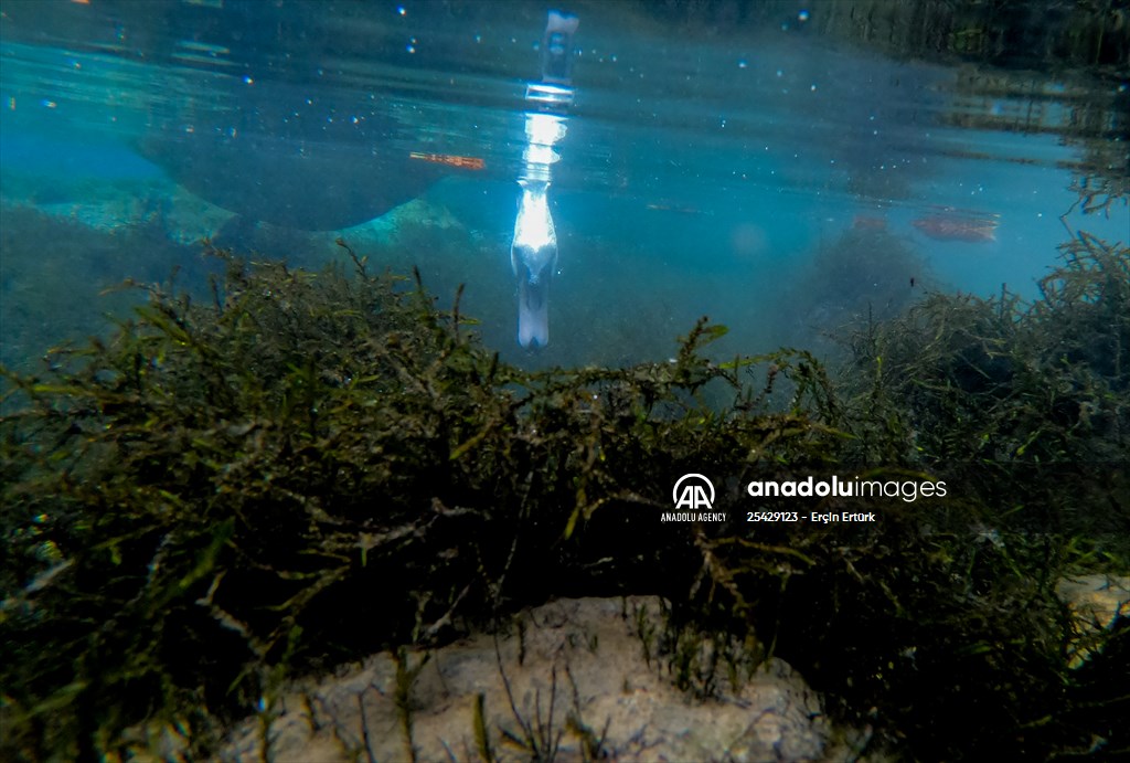 Vrelo Bosne National Park in Sarajevo