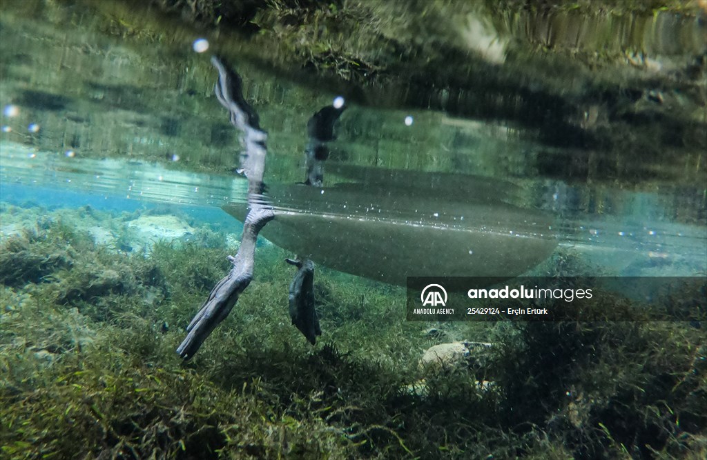 Vrelo Bosne National Park in Sarajevo